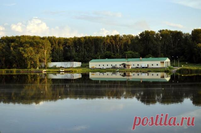 (49) Одноклассники