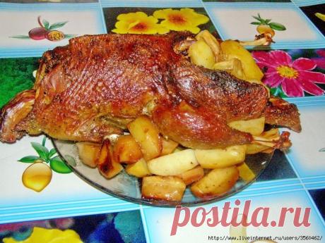 УТКА К РОЖДЕСТВУ