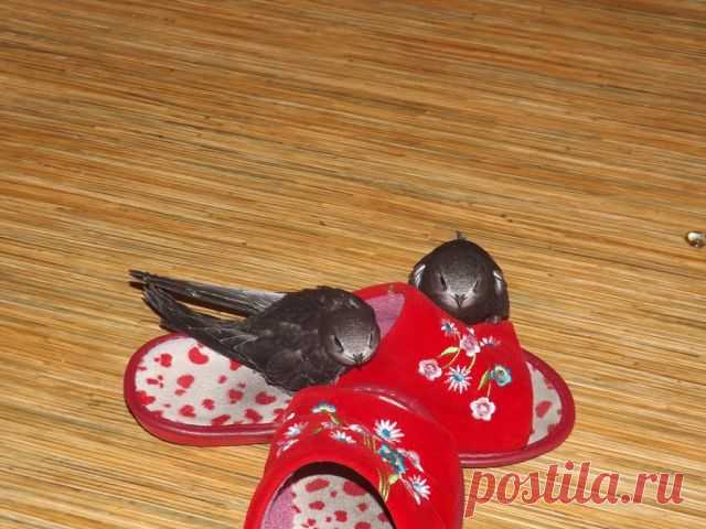 Ирина Ларионова (лялюга)
35 лет, Россия, Полесск