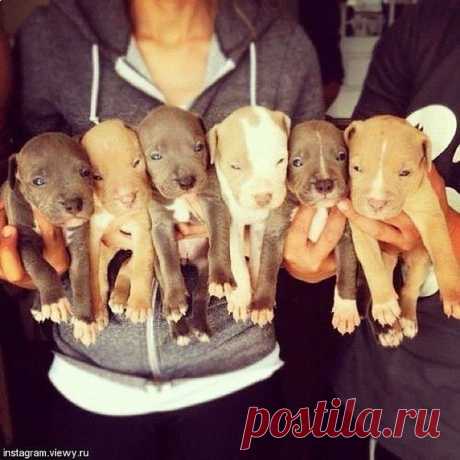 Мой Мир@Mail.Ru