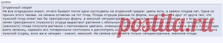Сбор семян - Форум дачников Украины. Восстановим озоновый слой на 6-ти сотках!