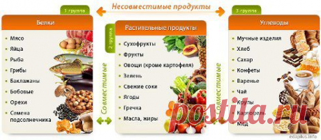 ПРАВИЛЬНОЕ ПИТАНИЕ И ПРАВИЛЬНОЕ СОЧЕТАНИЕ ПИЩИ ЭТО ЗАЛОГ УСПЕХА СНИЖЕНИЯ ВЕСА. ВЫ ЗНАЕТЕ, ЧТО С ЧЕМ КУШАТЬ?