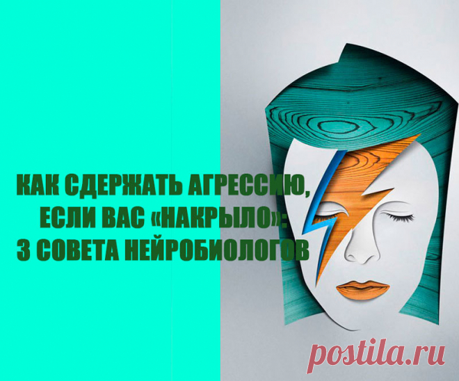 Как сдержать АГРЕССИЮ, если вас «накрыло»: 3 совета нейробиологов