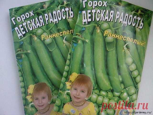 Дача, сад-огород | Записи в рубрике Дача, сад-огород | Дневник Пастила221