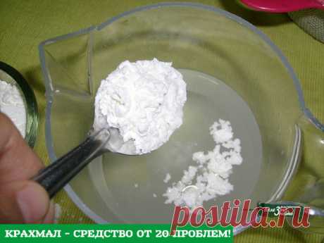 5 непрочитанных чатов