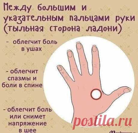 Какие точки массажировать, чтобы улучшить... | Интересный контент в группе Проще не придумаешь! 1000 и 1 совет.