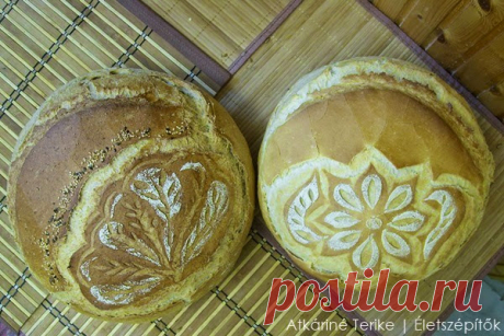 Cikk rólam.