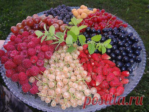 ВКУСНОГО ВАМ ЛЕТА! :-)