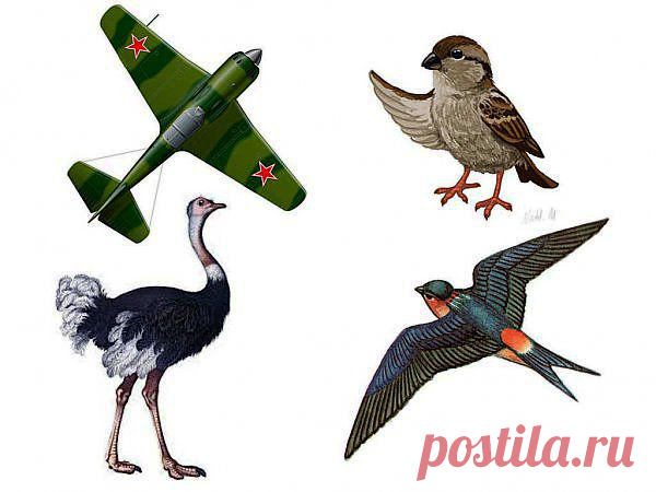 Что лишнее. Карточки задания для развития логического мышления.