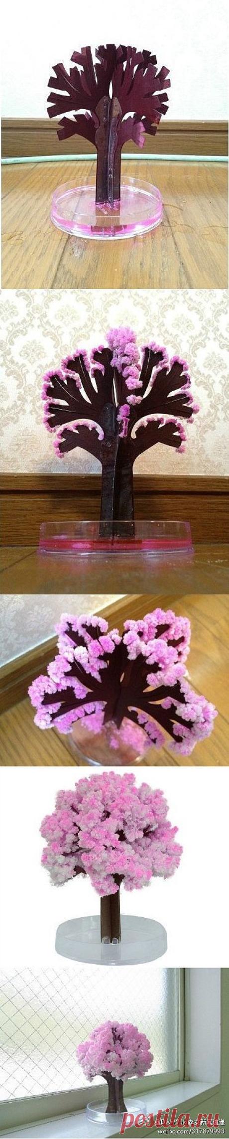Растим из солевого раствора дерево " Заснеженный Бонсай " .