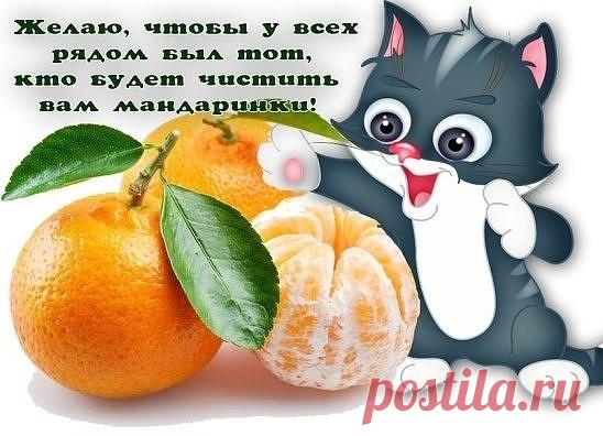 Архив открыток отправленных 16 Декабря 2015 года. Добавили: Алёна Лешкова, Алла Васильева, Матвеев Серго, Nina Konisidi, Принцесса Королева, Евгения Виноградова, Михаил Солин, Сергей Мусаев, Александр Романенко, Светлана Каламанова, Елена