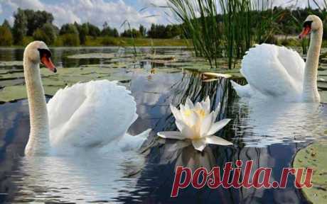 (41) Liudmila Liudmila добавила 2 photos with you. - Liudmila Liudmila