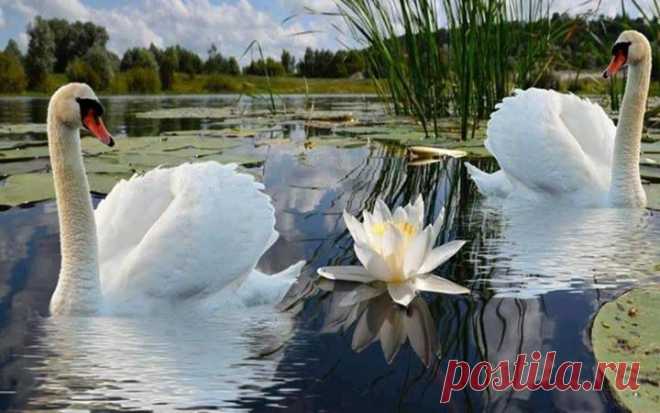 (41) Liudmila Liudmila добавила 2 photos with you. - Liudmila Liudmila