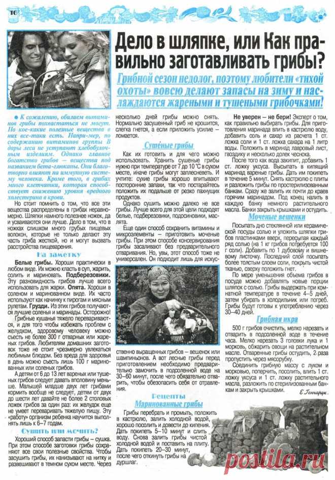 Как правильно заготавливать грибы