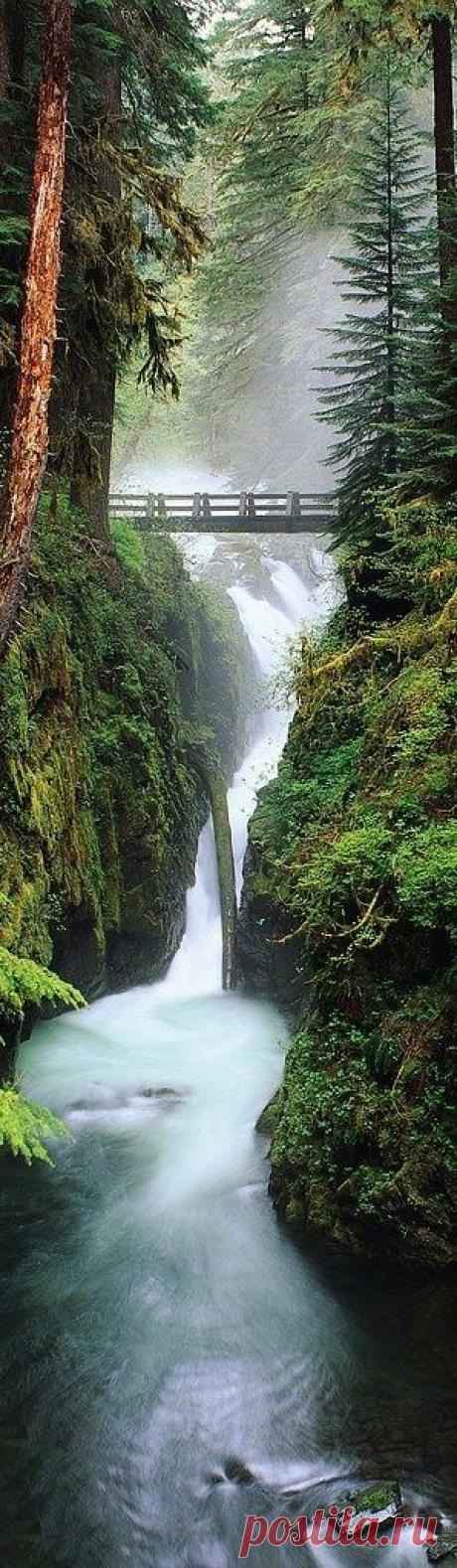 Pinterest • Всемирный каталог идей