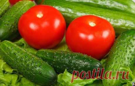 Продукты, которые нельзя есть вместе