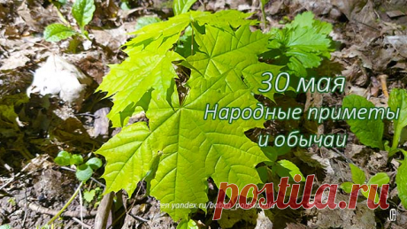 Народные приметы 30 мая, обычаи и поверья в день Евдокии Народные приметы 30 мая. Народные поверья и обычаи в день Евдокии. Евдокия-свистунья. Что надо сделать 30 мая для исполнения желания