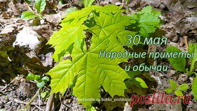 Народные приметы 30 мая, обычаи и поверья в день Евдокии Народные приметы 30 мая. Народные поверья и обычаи в день Евдокии. Евдокия-свистунья. Что надо сделать 30 мая для исполнения желания
