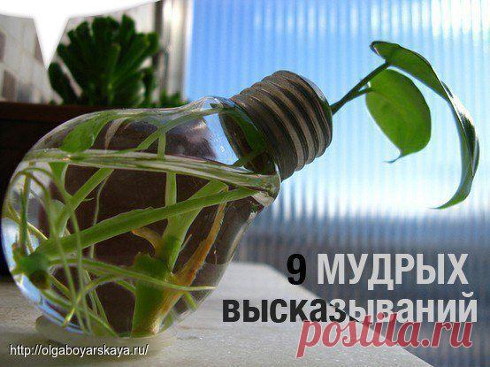 9 МУДРЫХ высказываний, над которыми стоит задуматься!