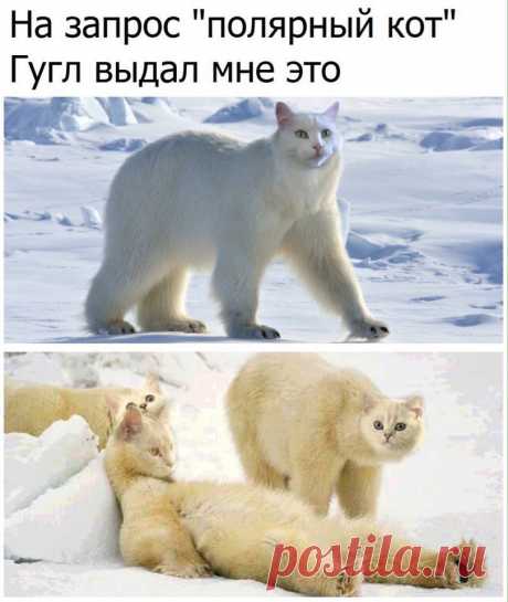 Хитрости жизни
