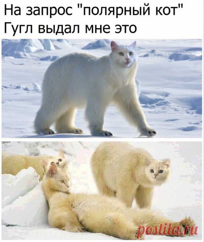 Хитрости жизни