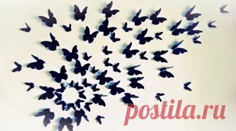 Картинки бабочек для вырезания из бумаги (36 фото) ⭐ Забавник