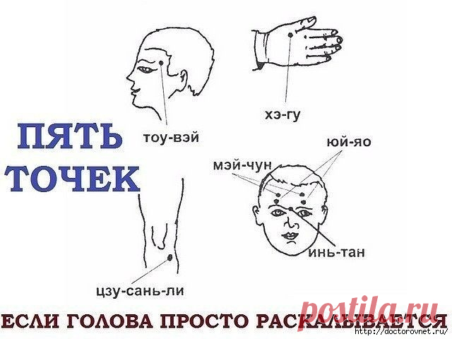 Gallery.ru / Фото #32 - Народная медицина и косметика-2 - Vladikana