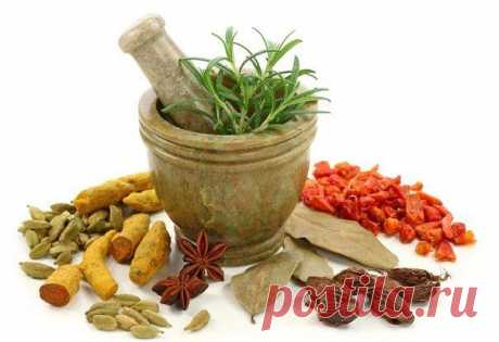 Лекарство своими руками - целебная чудо-мазь..