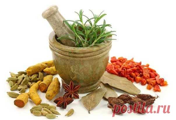 Лекарство своими руками - целебная чудо-мазь..