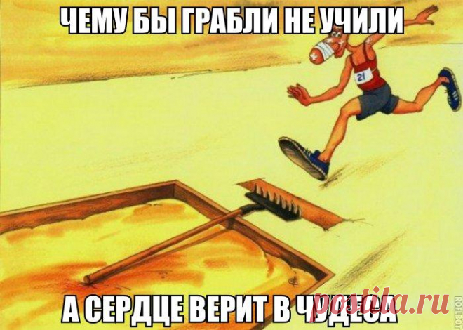 Новости