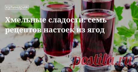 Домашние настойки из ягод на спирту Рецепты домашних алкогольных настоек из ягод на спирт: как сделать