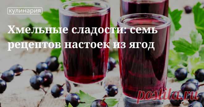 Домашние настойки из ягод на спирту Рецепты домашних алкогольных настоек из ягод на спирт: как сделать