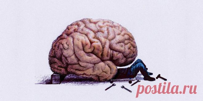 Как заставить работать свой мозг, если ничего не помогает? | gls.store | Пульс Mail.ru Наш мозг занят 24/7, получая и расшифровывая сообщения от тела и окружающей среды. Неудивительно, что иногда он просто отказывается выполнять свои...