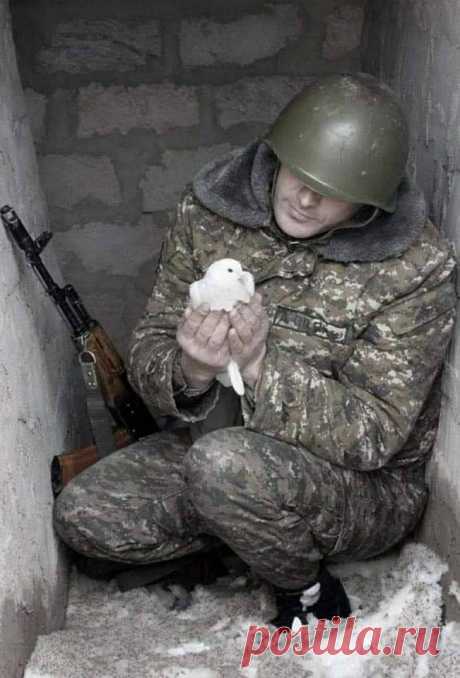 Տեր ողորմեա՜, Տեր ողորմեա՜ Ազգիս Հայոց.... 🙏✝️🇦🇲
Ազգիս աղոթքներով բարի գիշեր և խաղաղ լուսաբաց... 🙏✝️🇦🇲🕊️
Տե՜ր իմ և Աստուած իմ պահիր և պահպանիր մեր սահմանները և մեր զինվորներին երևելի և աներևույթ թշնամիներից ✝️🙏🇦🇲✊Աստված ձեզ բոլորիդ պահապան լինի մեր թանկեր... 🙏✝️🇦🇲🕊️