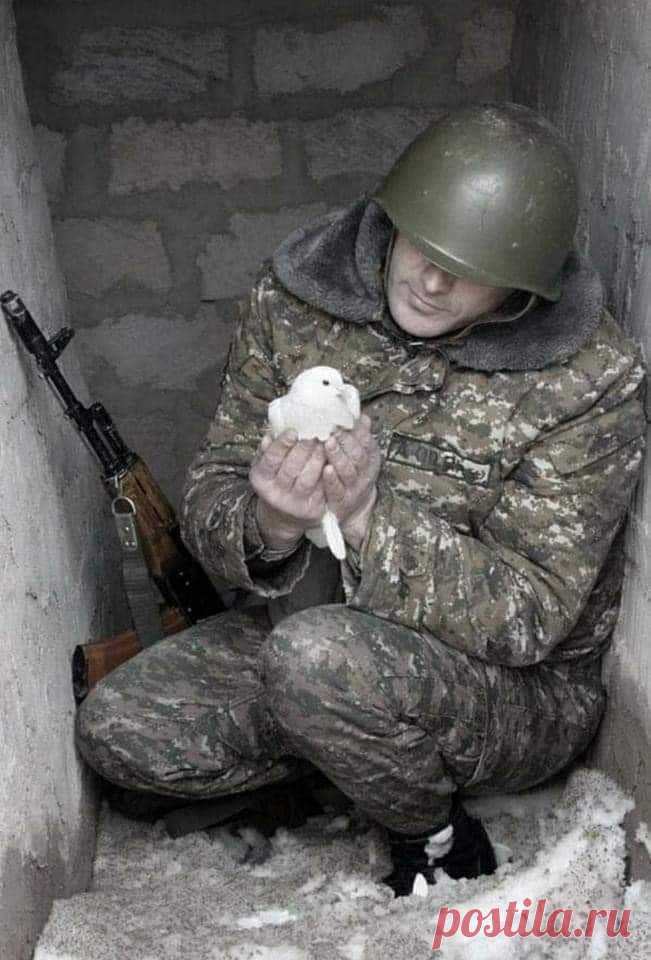 Տեր ողորմեա՜, Տեր ողորմեա՜ Ազգիս Հայոց.... 🙏✝️🇦🇲
Ազգիս աղոթքներով բարի գիշեր և խաղաղ լուսաբաց... 🙏✝️🇦🇲🕊️
Տե՜ր իմ և Աստուած իմ պահիր և պահպանիր մեր սահմանները և մեր զինվորներին երևելի և աներևույթ թշնամիներից ✝️🙏🇦🇲✊Աստված ձեզ բոլորիդ պահապան լինի մեր թանկեր... 🙏✝️🇦🇲🕊️