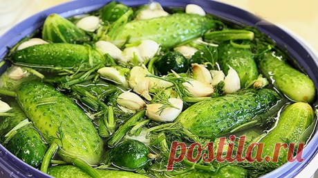 Топ-10 лучших рецептов очень вкусных малосольных огурцов

I. Очень вкусные малосольные огурчики с хреном!

Ингредиенты на 5 л.: 
5 кг огурцов
50 г корня хрена
5 дубовых листьев
4 смородиновых листа
1 пучок укропа с зонтиками
2 головки чеснока
3 веточки тархуна
6 ст. л. соли

Приготовление:

Время готовки - 72 ч

1. Замочите огурцы в холодной воде на 2 ч. Воду слейте, огурцы тщательно промойте и обрежьте с двух концов. Хрен очистите и нарежьте тонкими кружочками.

2. На дно...