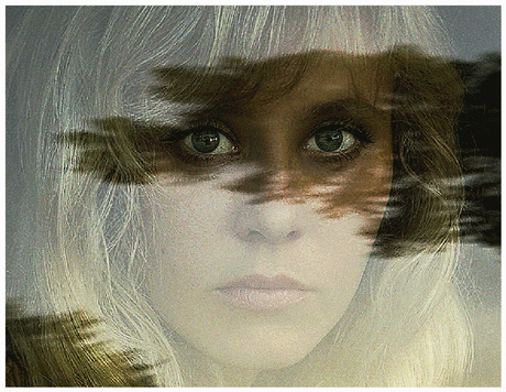 Видимо (Стих) Ты что-то, видимо, хотела мне сказать,
Подстриглась так, что стала выглядеть моложе.
Но я в своих прогнозах буду осторожен,
Смотря сейчас в твои глубокие глаза. Меня ты, видимо, хотела так привлечь,
Ч...