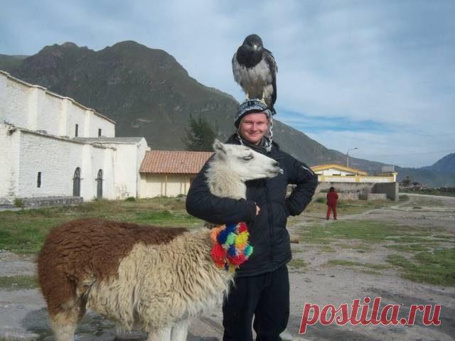 Позитивные картинки для всех! / Приколы