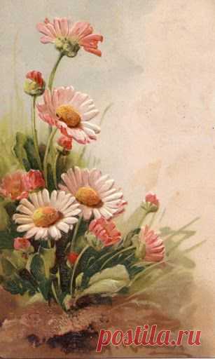 (723) Vintage Daisies by Catherine Klein | Flowers