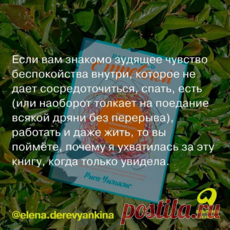 Отзывы читателей