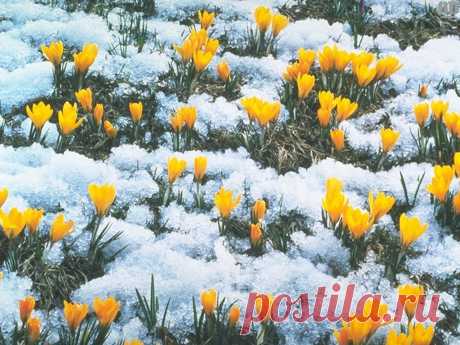 Если ваша зарплата похожа на сдачу, если замучили кредиты, если нечем платить налоги, если не знаете как жить дальше - приходите в нашу команду! Научим мечтать и воплощать мечты в жизнь!