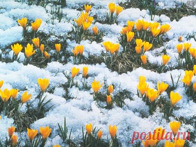 Если ваша зарплата похожа на сдачу, если замучили кредиты, если нечем платить налоги, если не знаете как жить дальше - приходите в нашу команду! Научим мечтать и воплощать мечты в жизнь!