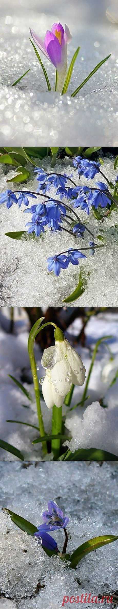 Мир моими глазами