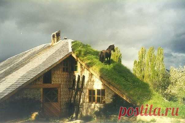 (61) Одноклассники