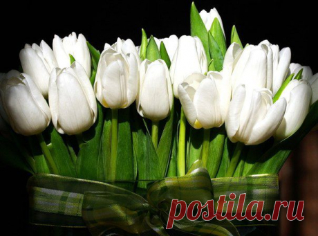 Ирина Сабитова