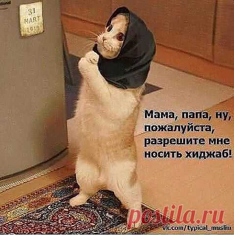 Одноклассники