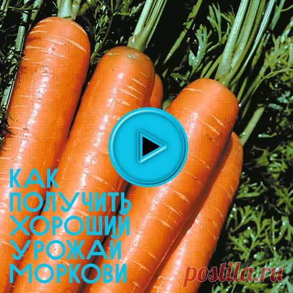 50видеосоветов для огородника