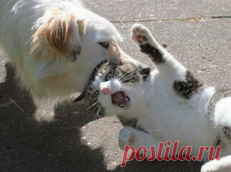 geram: Каким судом судите,таким будете судимы;и какою мерою мерите,такою и вам будут мерить---Иисус Христос