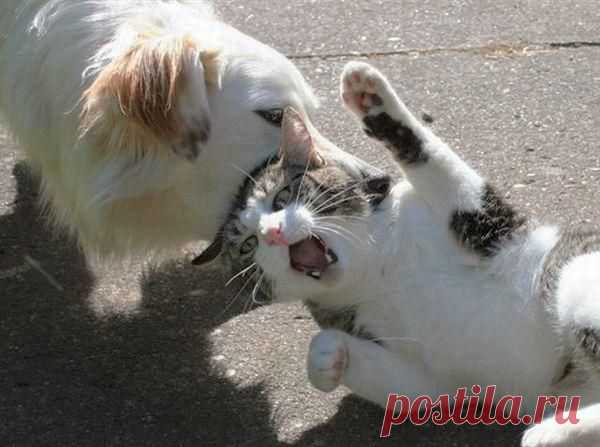 geram: Каким судом судите,таким будете судимы;и какою мерою мерите,такою и вам будут мерить---Иисус Христос