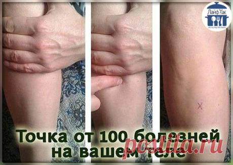 ХОТИТЕ ЖИТЬ ДОЛГО И НЕ БОЛЕТЬ - УЗНАЙТЕ О ТОЧКЕ ДОЛГОЛЕТИЯ